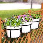 Suporte para Vasos de Plantas Suspenso - Paixão Verde®