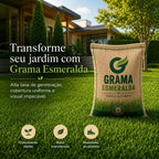Sementes de Grama Esmeralda Premium – Gramado Denso, Verde e Resistente