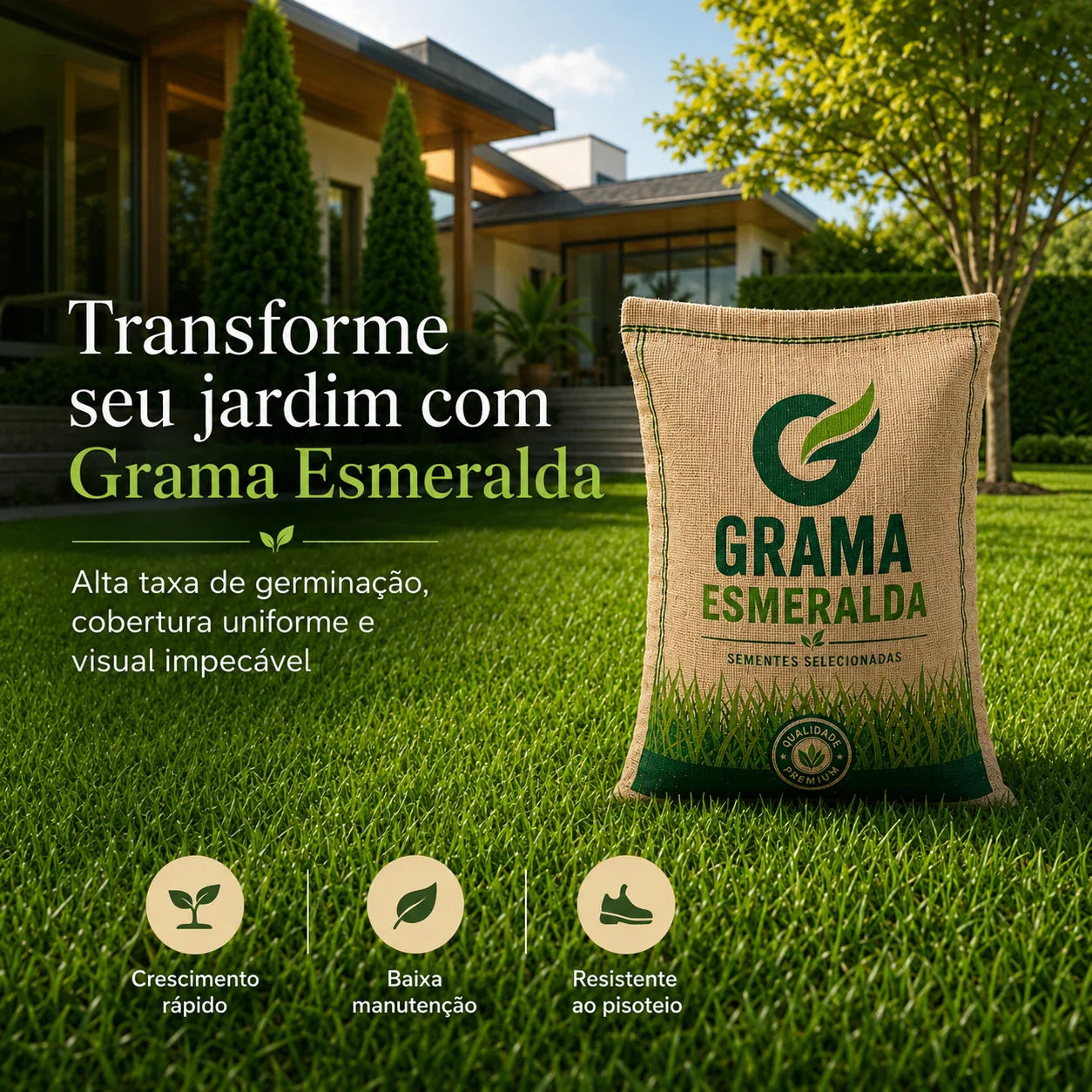 Sementes de Grama Esmeralda Premium – Gramado Denso, Verde e Resistente