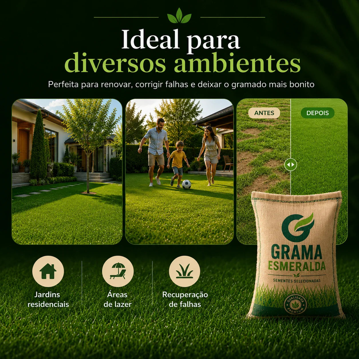 Sementes de Grama Esmeralda Premium – Gramado Denso, Verde e Resistente