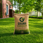 Sementes de Grama Esmeralda Premium – Gramado Denso, Verde e Resistente