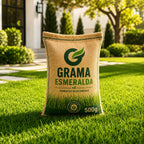 Sementes de Grama Esmeralda Premium – Gramado Denso, Verde e Resistente